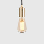 Squirrel cage filament plug-in pendant, close-up of the bulb and brass holder