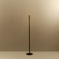 Graphite telescopic floor lamp, without a bulb, on a plain background