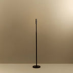 Graphite telescopic floor lamp, without a bulb, on a plain background