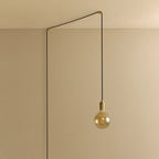 Tinted filament globe plug-in pendant, in brass, unlit