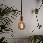 Tinted filament globe plug-in pendant, lit among leafy plants