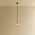 Tinted globe bulb pendant, in stainless steel against a plain wall