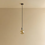 Tinted globe bulb pendant, in stainless steel, lit