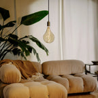 Plug-in pendant with tinted organic bulb, graphite, in a living room above a sofa