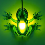 Translucent frog table lamp, in green, seen from above