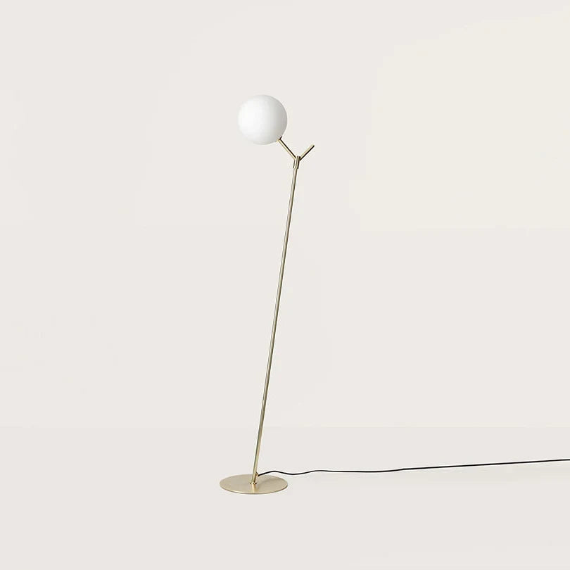Twig-Branch Stem