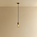 Walnut pendant with tinted glass filament bulb, lit, against a plain wall