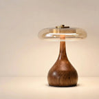 Walnut-tone timber table lamp with a tinted glass disc, Petite, lit