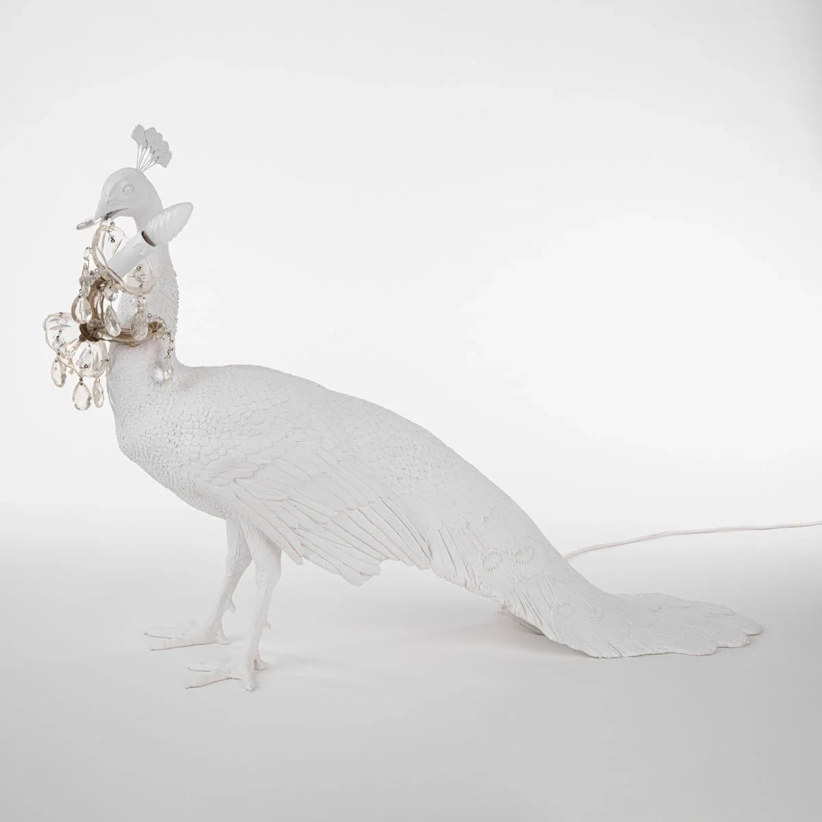 A Peacock Carrying a Light