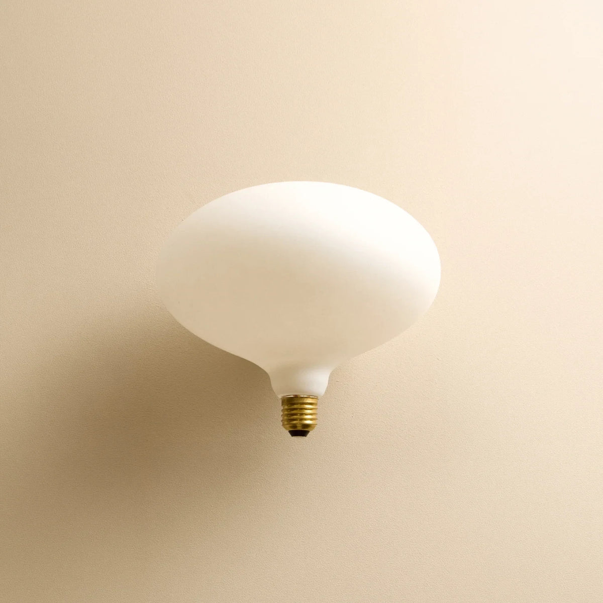 Oval Dim-to-Warm Bulb